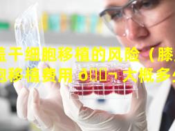 膝盖干细胞移植的风险（膝盖干细胞移植费用 🐬 大概多少钱）